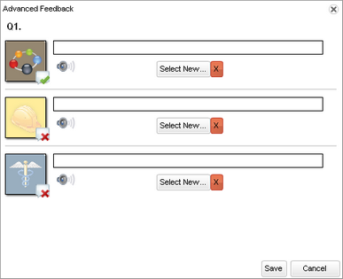 Advanced Feedback Window