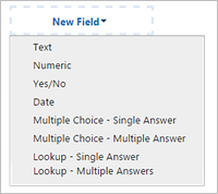 Custom field types