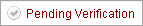 Pending Verification Icon