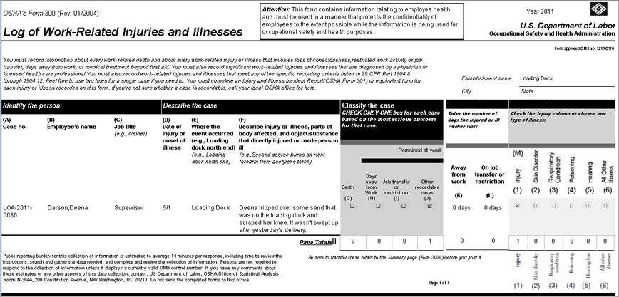 OSHA 300 Form